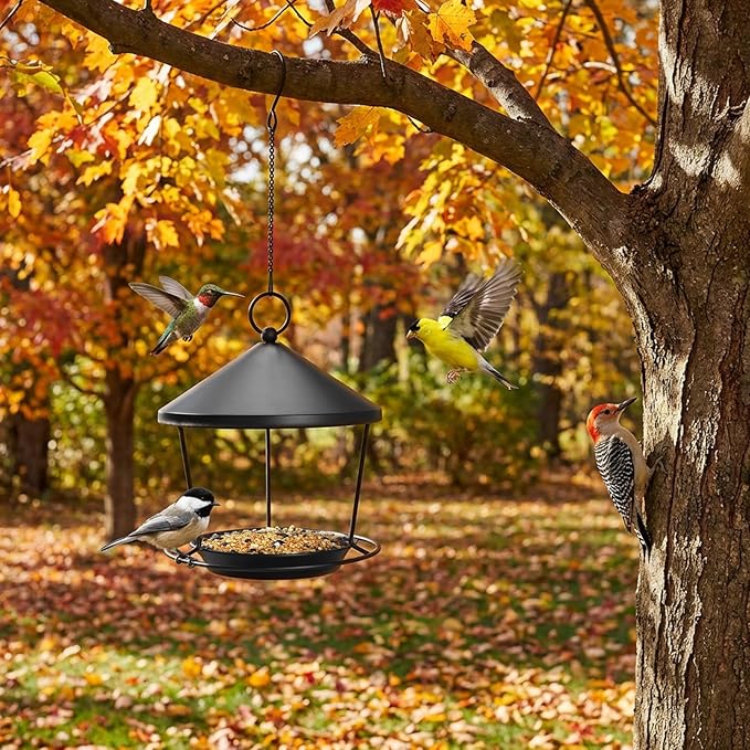 Bird Feeder for Outdoor Hanging,Hanging Bird Feeder with Roof,Elegant Garden Sculpture with Multi-Use Bird Bath and Feeder with Chain and Hook,Creative Decor for Patio Balcony Yard Home