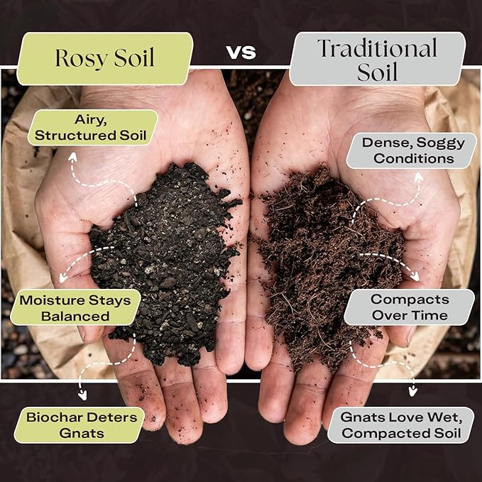 Rosy Soil Aroid Soil Mix - Chunky Biochar Potting Mix for Monstera, Philodendron, Anthurium & Tropical Plants - Peat-Free, Microbially Active, Superior Aeration & Drainage for Aroid Plants - 4 Quarts