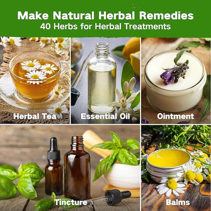 LUSH&DEW Medicinal Herb Gardening Gifts for Herbalists, Apothecary Seed Chest, 40 Varieties 36,000+ Non-GMO Heirloom Seeds for Planting Herbs in Raised Bed Windowsill, Survival Seed Kit for Herbal Tea