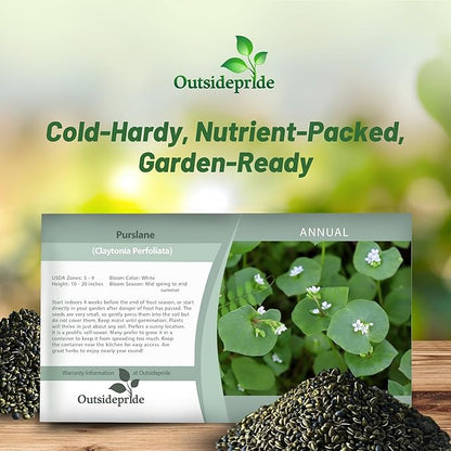 Outsidepride Winter Purslane Seeds for Planting - 10,000 Pcs Annual, Easy to Grow, Vitamin-Rich & Drought Tolerant Succulent Seeds for Culinary, Xeriscaping, Containers & Hanging Baskets