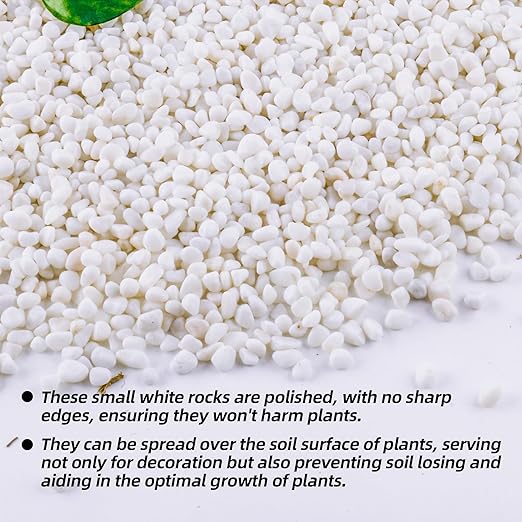 2.4lb 1/4" Small White Rocks for Plants,Potting,Succulents Aquarium Fish Tank Garden Vases Decorative Pebbles Gravel Rocks Stones