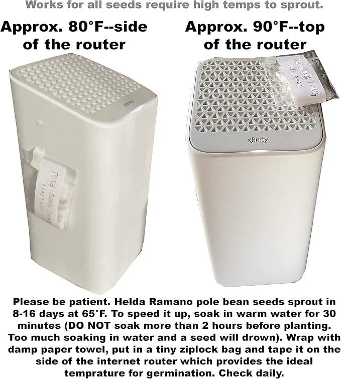 Bean Seeds for Planting Vegetables and Fruits. Pole Beans,Bush Beans,Romano Beans.Non GMO Garden Seeds for Home Vegetable Garden-Organic Stringless Heirloom Romano Green Pole Bean Seeds Helda-30ct+