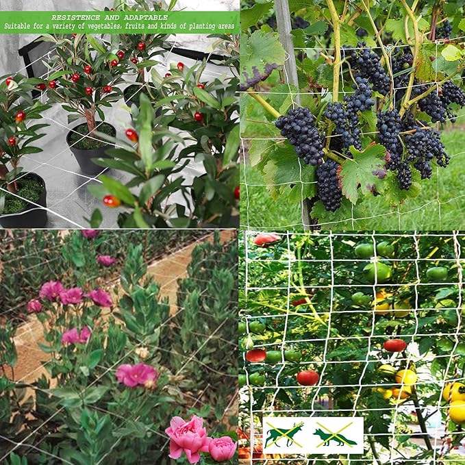 BaseGoal All-Weather Trellis Netting Mesh Plant Garden Vine Growing Flexible String Net