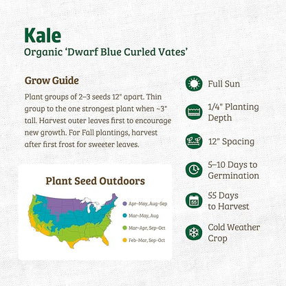 Back to The Roots 100% Organic Heirloom Seeds - Kale Value Pack (840mg Total)