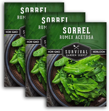 Sorrel Seeds for Planting - Large Leaf Garden Sorrel - Cool Weather Perennial Vegetable for Edible Leafy Greens - Heirloom Non GMO - Survival Garden Seeds (3 Packs)