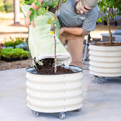 Rolling Metal Citrus Tree Planter Pot, 21″ Round Planter Box for Porch Patio & Backyard, 20 Gallon Large Planter Pot with Wheels for Growing Olive Trees Tomatoes Vegetables Flowers, 2 Pack Olive Green