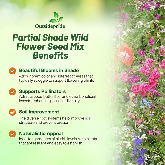 Outsidepride Partial Shade Wild Flower Seed Mix for All States - 1/4 lb. Premium Blend of Annual & Perennial Wildflowers, Perfect for Partial Shade Areas, & Outdoor Planting for Gardens & Lawns