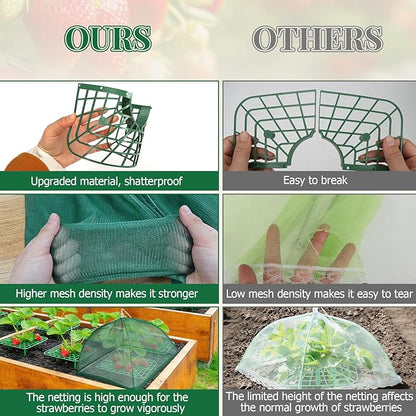6 Sets Strawberry Plant Support with Mesh Plant Cover, Strawberry Growing Rack Kit with 24 Iron Plant Nails for Garden, Strawberry Growing Frame with Protective Net for Strawberries Tomatoes Veggies
