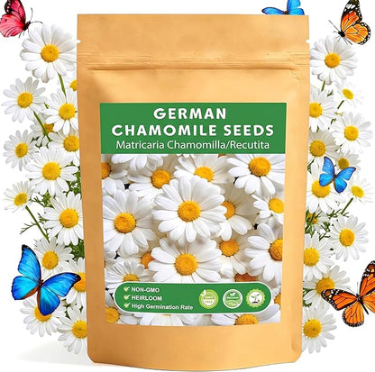 LUOJIBIE German Chamomile Seeds, 60,000+ Chamomile Flower Seeds Bulk for Planting Outdoor Indoor Garden, Heirloom & Non-GMO Matricaria Chamomilla/Recutita Herb Seeds, Easy to Grow
