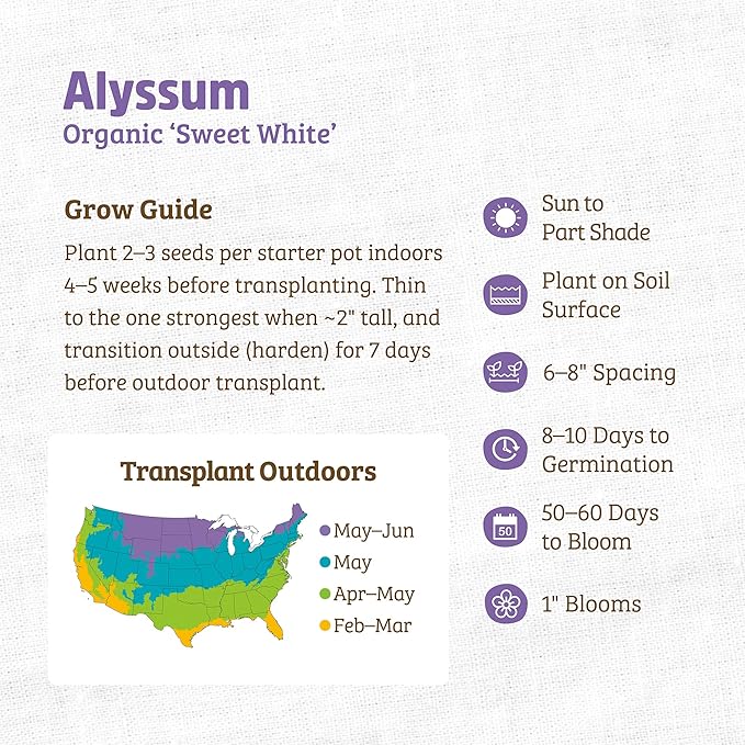 Back to The Roots 100% Organic Heirloom Seeds - Alyssum Flowers Value Pack (200mg Total)