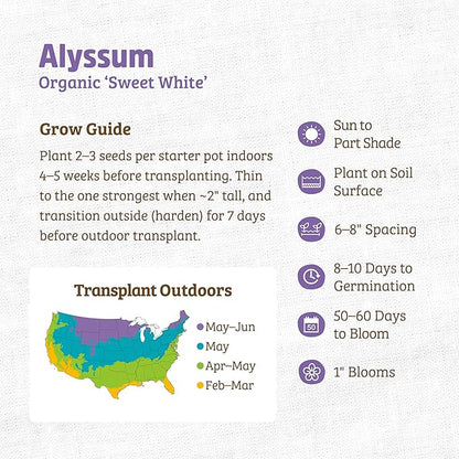 Back to The Roots 100% Organic Heirloom Seeds - Alyssum Flowers Value Pack (200mg Total)