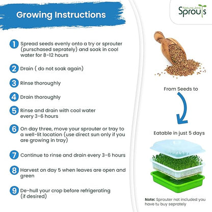 Nature Jims Sprouts Alfalfa Seeds – Non-GMO Organic Sprout Growing Kit for Planting – Premium Resealable Bag for Fresh Homegrown Sprouting Seeds – Rich in Nutrients, Vitamins, Fiber & Minerals – 16oz