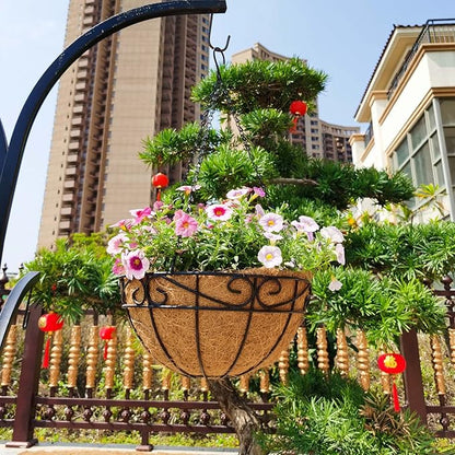 12 inch Metal Hanging Baskets For Plants Outdoor 4 Pack Round Metal Wire Hanging Basket Planter with Coco Fiber Liners Chain Round Wire Plant Holder for Garden, Patio, Deck, Porch Plants Flower Potss