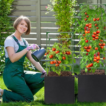 ANPHSIN 2 Sets Tomato Cages with 10 Gallon Grow Bags - 47'' Stable Plant Support Trellis Kit, Square Cages with Planter Pots for Garden Flowers Vegetables Cucumber Vertical Climbing Plants Vines