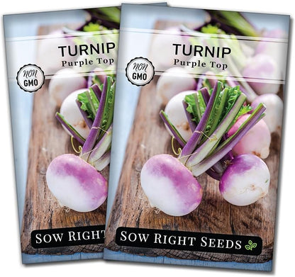 Sow Right Seeds - Purple Top White Globe Turnip Seeds for Planting - Non-GMO Heirloom Packet with Instructions to Plant a Home Vegetable Garden - Early Season, Cold Hardy - Classic Variety (2)