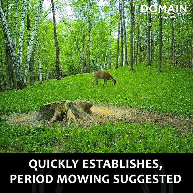 Domain Outdoor Hot Chic Food Plot Seeds for Deer, Chicory - 2 Varieties of Clover, Great to Plant in Spring or Fall, Hardy Mixture of PH Tolerant Perennials, Can Last Several Years, 1/2 Acre