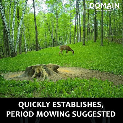 Domain Outdoor Hot Chic Food Plot Seeds for Deer, Chicory - 2 Varieties of Clover, Great to Plant in Spring or Fall, Hardy Mixture of PH Tolerant Perennials, Can Last Several Years, 1/2 Acre