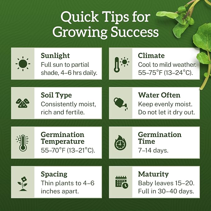 TKE Farms & Gardens - Watercress Seeds for Planting, 1500+ Non-GMO Heirloom Seeds, Grow a Nutrient-Rich Superfood, Easy for Indoor & Outdoor Gardens, Includes Planting Instructions, Qty 1