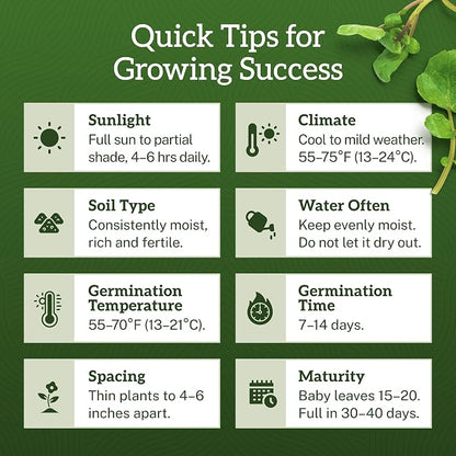 TKE Farms & Gardens - Watercress Seeds for Planting, 1500+ Non-GMO Heirloom Seeds, Grow a Nutrient-Rich Superfood, Easy for Indoor & Outdoor Gardens, Includes Planting Instructions, Qty 1