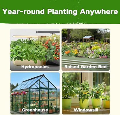USDA Zone 8 Heirloom Seed Bank, 30,000+ Non-GMO 32 Varieties of Seeds for Planting Vegetables, Survival Seed Kit for Raised Garden Bed, Greenhouse, Gardening Gifts for Women Men
