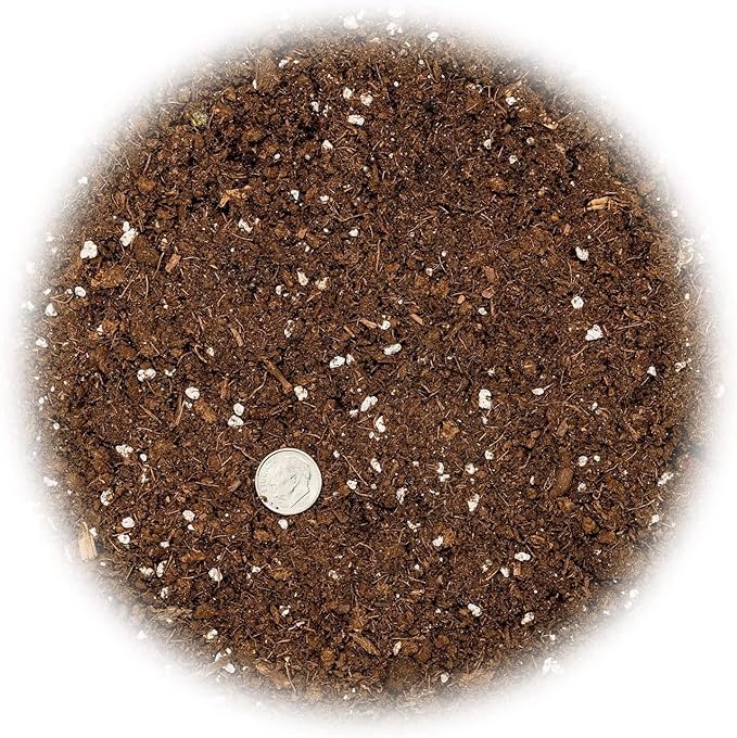 GARDENERA Citrus Tree Potting Soil Mix - 20 Quart - Special Blend for Indoor Oranges, Lemons, Limes and More - (4 Bags of 5 Quart)