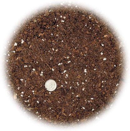 GARDENERA Premium Dracaena Potting Soil Mix - (5 Quart Bag)