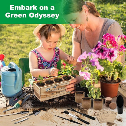 Bonsai Tree Starter Kit, Indoor Bonsai Tree Kit Meeting Planting and Caring Needs Curated Design for A Complete Gardening Experience for Enthusiasts-no Seeds Included
