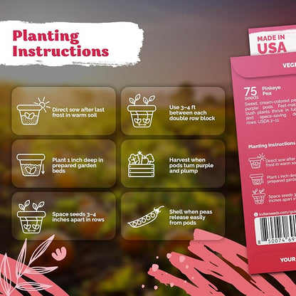 KVITER 75 Top Pick Pinkeye Cow Pea Seeds for Planting (Vigna Unguiculata) – Field Pea, Bush Purple Hull Peas, Heirloom Peas & Beans – Vegetable Seeds for Outdoor Garden, Beds, Containers