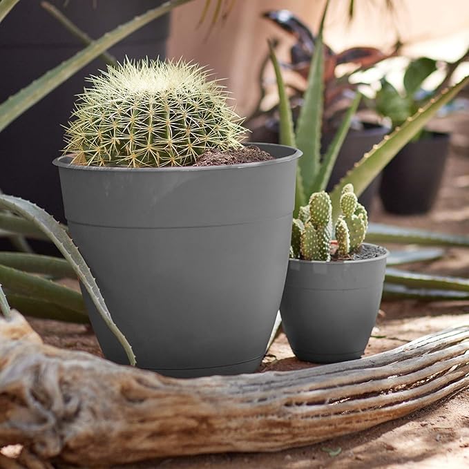 Bloem Dayton 6" Charcoal Round Planter Pot with Drainage Holes and Removable Saucer for Indoor or Outdoor Gardening, Made in USA