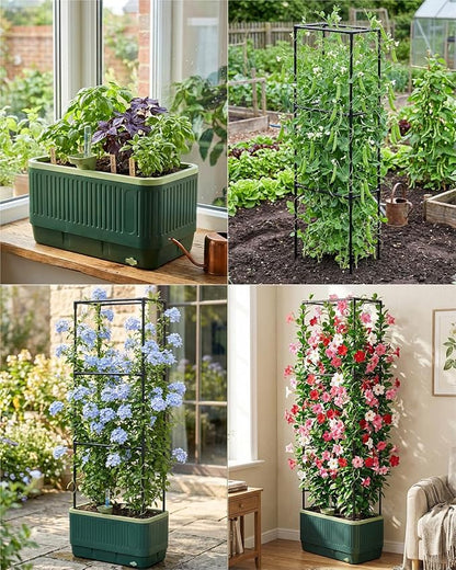 Raised Garden Bed Planter Box with Trellis, Self Watering Tomato Planters for Climbing Plants, Tomato Cage Trellis for Vegetables & Vine Flowers Indoor Outdoor Patio