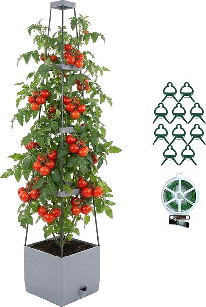 Tomato Planter with Trellis 57" - Self Watering Raised Garden Bed for Climbing Plants, Wind-Resistant Solid Base Box with Cage, Vertical Gardening Pot for Indoor Outdoor Patio Balcony, Grey
