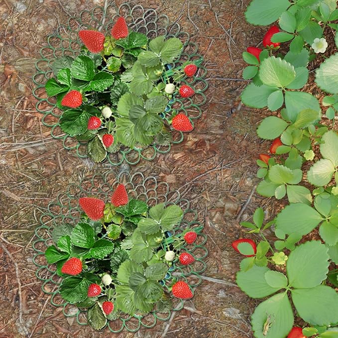 Strawberry Planter, 10PCS Strawberry Plants Support with 3 Sturdy Legs, 10" Dia. Removable Tower, Hollow Holder for Indoor Oudoor, Décor de pelouse