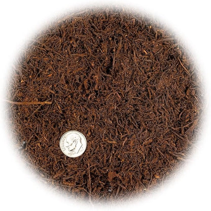 Premium New Zealand Tree Fern by GARDENERA - 10 Quart - Orchid and Epiphytal Plants Growing Medium and Reptile Substrate (2 Bags of 5 Quart)