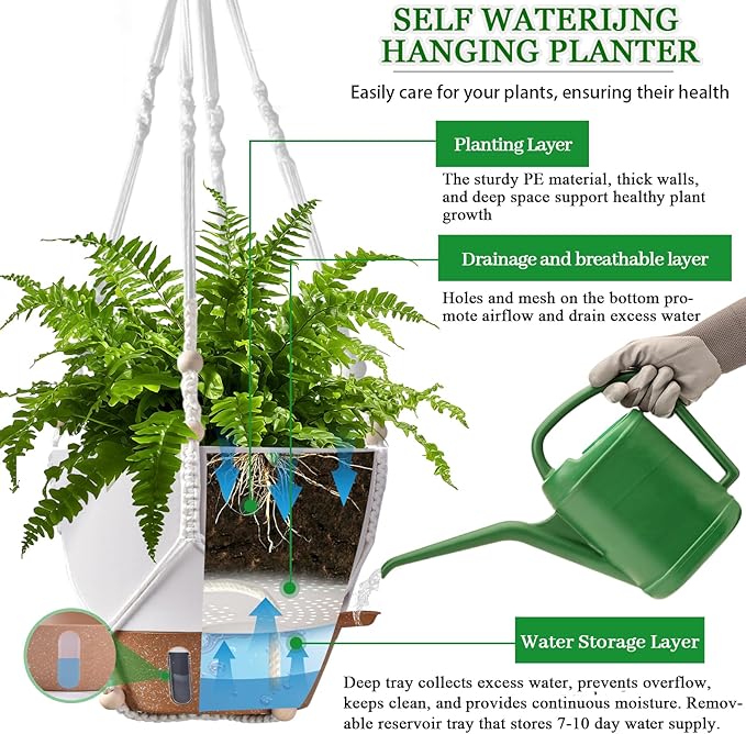 water can for hanging plants 10 Inch Hanging Planters for Indoor Plants, 2 Pack Self Watering Hangi –  LuxaLeaf