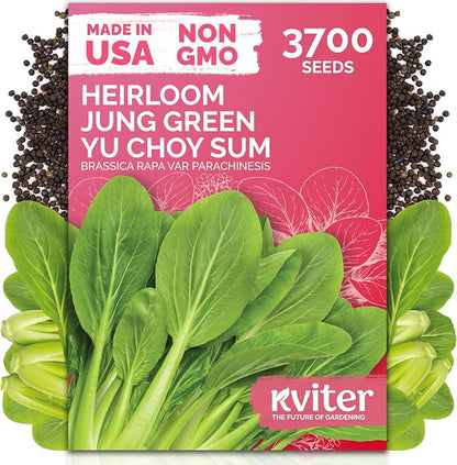 KVITER 3700 Jung Green Yu Choy Sum Seeds (Brassica Rapa VAR Parachinesis) - Chinese Flowering Cabbage, Fast Growing, Heirloom, Non GMO Seed Packets - Vegetable Seeds for Outdoor Garden, Raised Beds