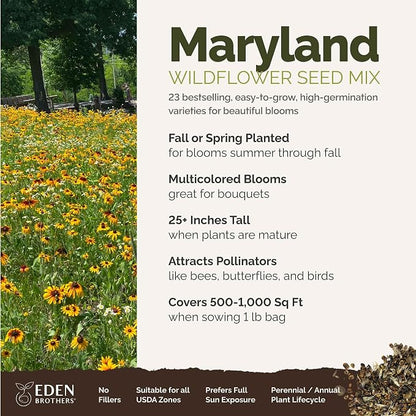 Eden Brothers Maryland Wildflower Mixed Seeds for Planting, 1 lb, 480,000+ Seeds with Shasta Daisy, Cornflower | Attracts Pollinators, Plant in Spring or Fall, Zones