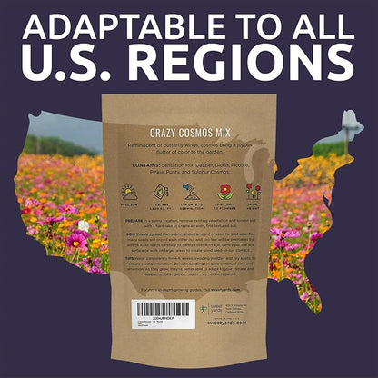 Bulk Cosmos Seeds Wildflower Mixture - 5 Pounds - Over 400,000 Seeds - Pink, Yellow, Orange, Red, Purple and White Mixed Species!
