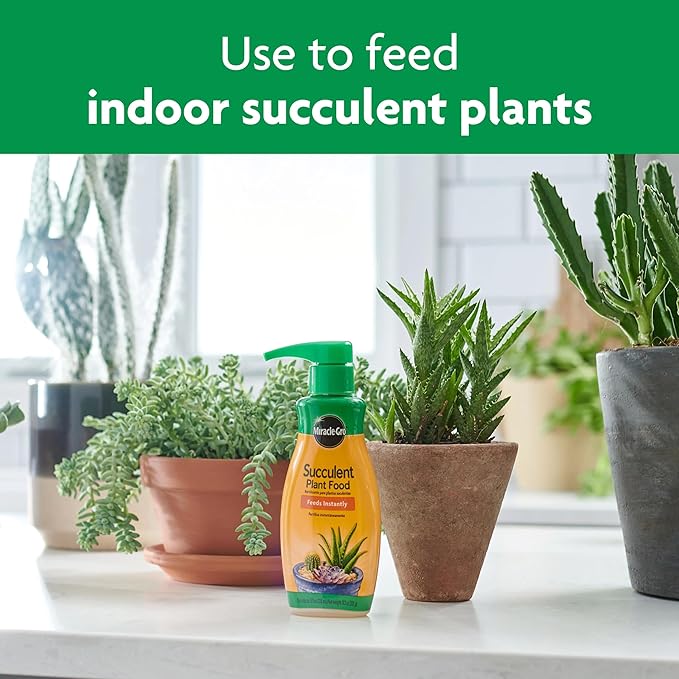 Miracle-Gro Succulent Plant Food, 8 oz., For Succulents including Cacti, Jade, And Aloe