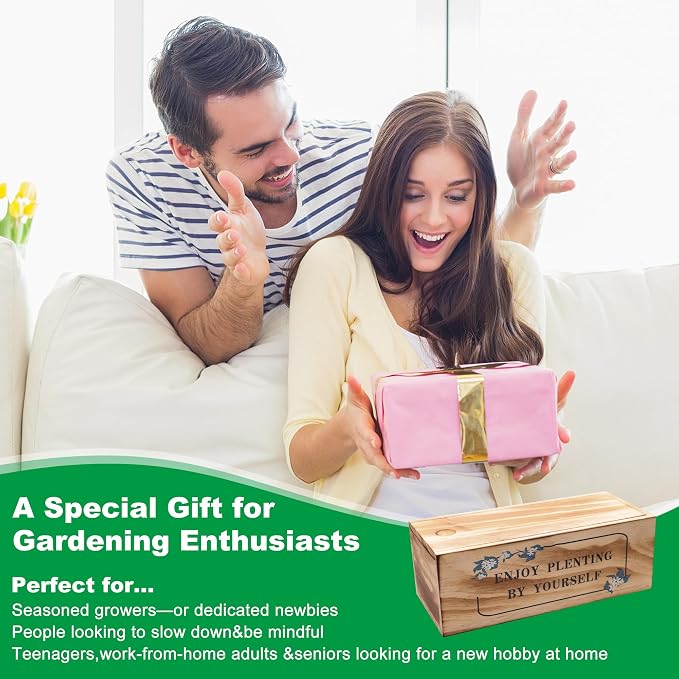 Bonsai Tree Starter Kit, Indoor Bonsai Tree Kit Meeting Planting and Caring Needs Curated Design for A Complete Gardening Experience for Enthusiasts-no Seeds Included