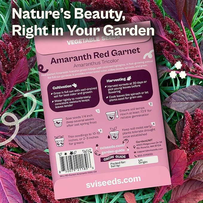 SVI 1500 Red Garnet Amaranth Seeds (Amaranthus Tricolor) – Josephs Coat Plant Seed Packets Bulk, Deep Red Amaranthus Flower – Heirloom Vegetable Seeds for Outdoor Garden, Vegetable Garden, Containers
