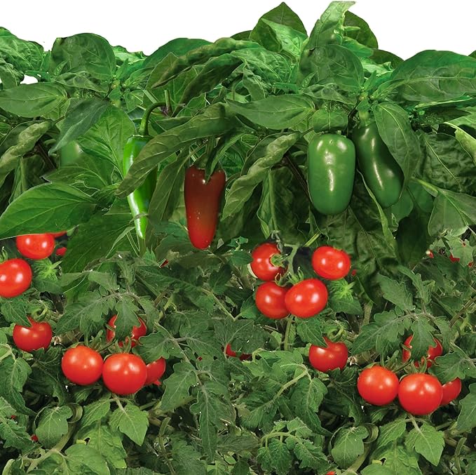 AeroGarden Salsa Garden Seed Pod Kit (6-pod)