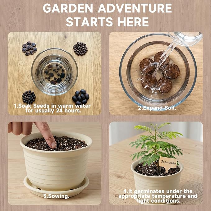 Bonsai Tree Starter Kit – 8 Varieties Indoor Bonsai Trees Plant Seeds with Drainage Design Pots, Gardening Gifts for Women, High-Value Plant Gifts