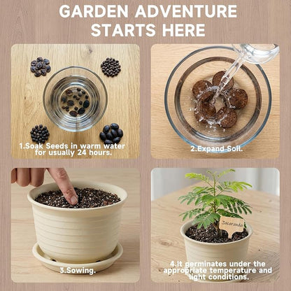 Bonsai Tree Starter Kit – 8 Varieties Indoor Bonsai Trees Plant Seeds with Drainage Design Pots, Gardening Gifts for Women, High-Value Plant Gifts