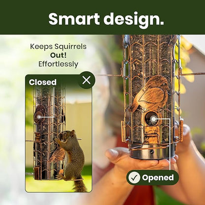 Squirrel-Proof Bird Feeders for Outdoors Feeds Mealworms and Seeds - Large 3-Pound Capacity, Weather-Resistant Hanging Tube for Birds Includes Seed Scoop, 4 Hook-Shaped Perches, Anti-Squirrel Weights