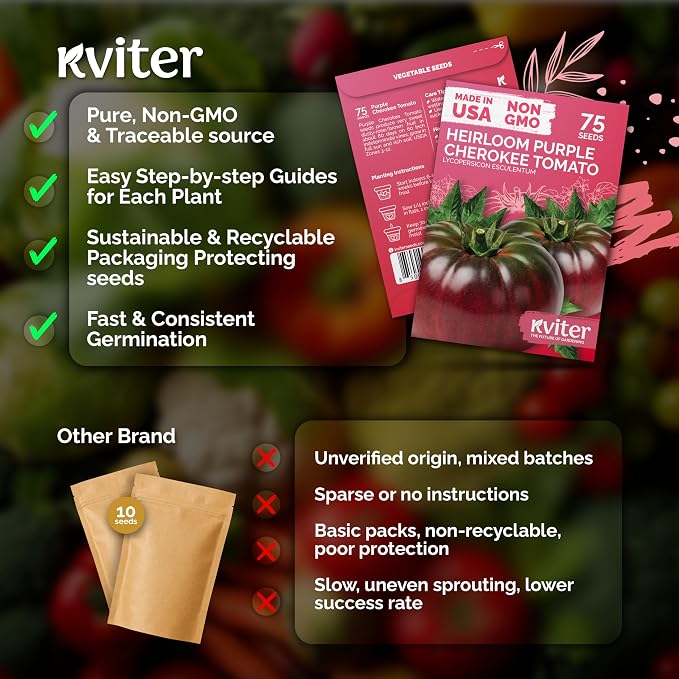 KVITER 75 Cherokee Purple Tomato Seeds (Lycopersicon Esculentum) – Cherokee Purple Heirloom Seed Packets, Sweet Tomatos, Open-Pollinated, Non GMO Seed - Vegetable Seeds for Indoor/Outdoor Garden