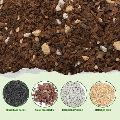 Doter Bonsai Soil Mix Ready to Use (2qt), Premium Fast Draining Organic All Purpose Potting Mix for All Varieties of Bonsai