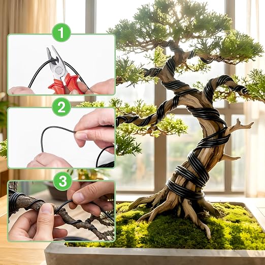 Bonsai Wire Kit, 160 Feet Total 3 Sizes Aluminum Plant Wire for Bonsai Training, Essential Bonsai Tools