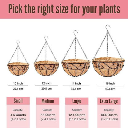LaLaGreen Hanging Planter for Outdoor Plants (12 Inch, 2 Pack) Hanging Baskets with Coco Liner, Black Metal Wire Flower Basket Pots with Hook Hanger Balcony Porch Farmhouse Country Style Garden Decor