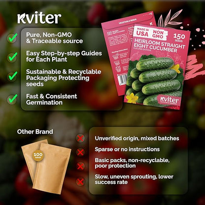 KVITER 150 Straight Eight Cucumber Seeds (Cucumis sativus) - Straight 8 Cucumber, Perfect Cucumbers for Pickling and Slicing - Vegetable Seeds for Planting Outdoors in Home Garden & Containers