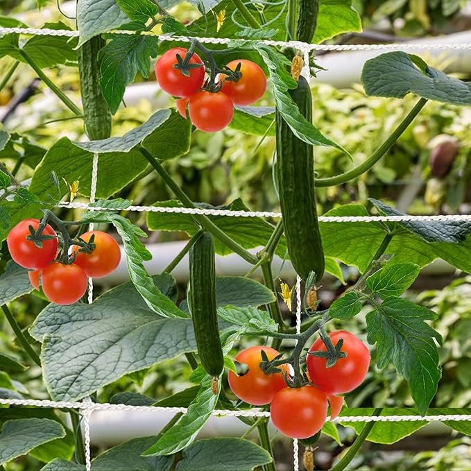 Mellbree Trellis Netting for Climbing Plants, 16.4x6.6FT 2Packs Heavy Duty Trellis Net for Climbing Plants Outdoor, Cucumber, Tomatoes, Peas, Vegetable and Vine